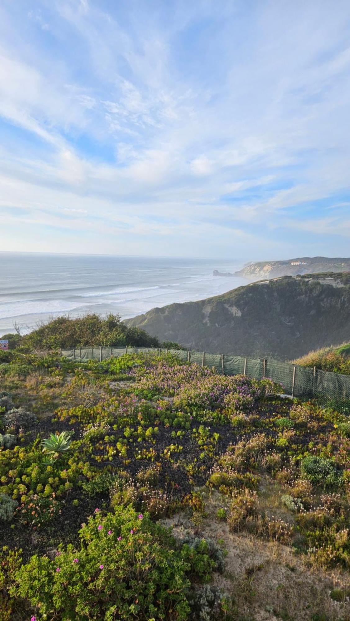 Nazare Uninterrupted Views And Sounds Of The Sea Daire Pataias Dış mekan fotoğraf